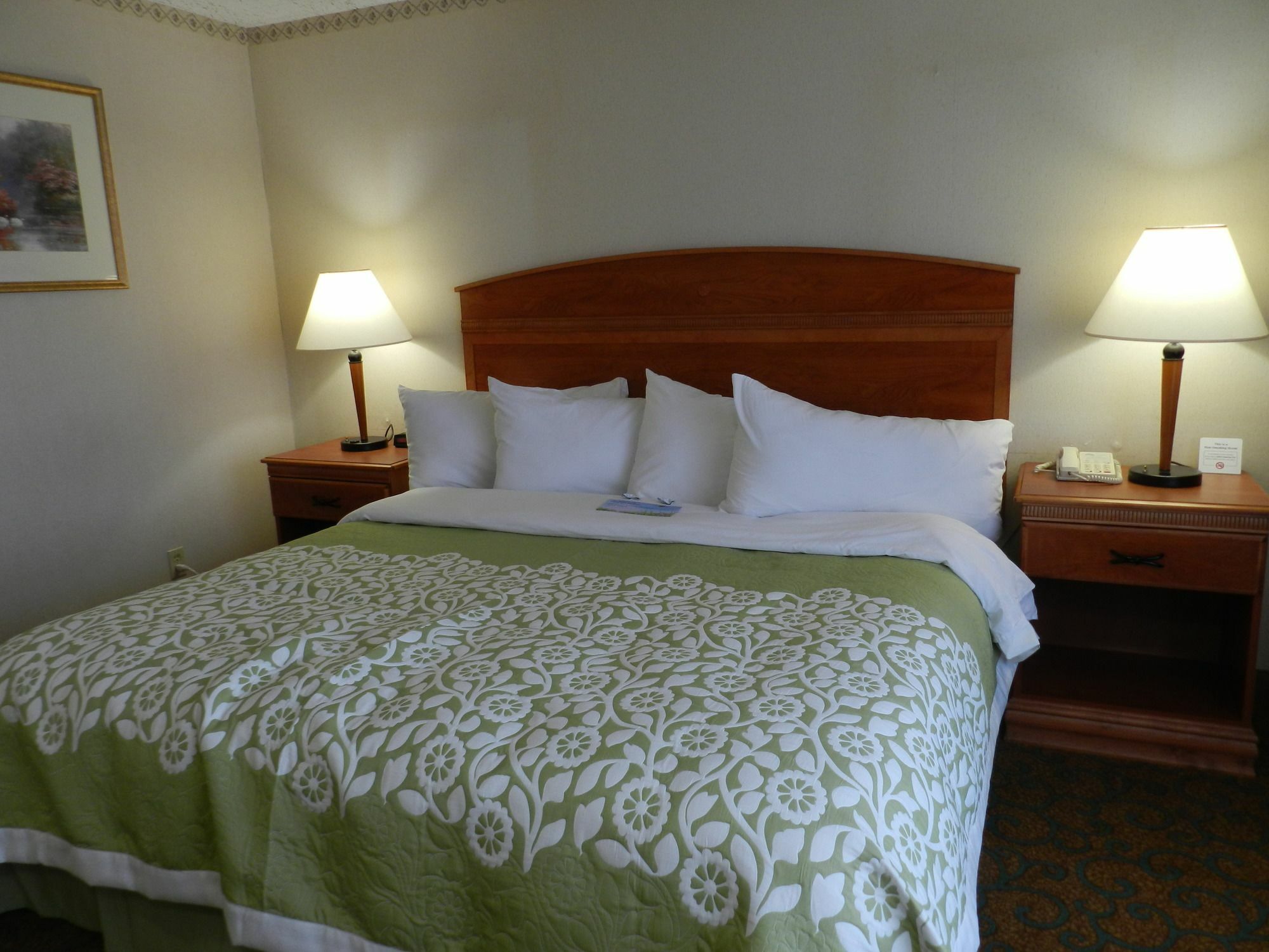 Clarion Pointe Rhinelander Downtown Hotell Eksteriør bilde